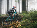 Lightweight wheels and good traction give the VPace hardtail wings on the climbs.
