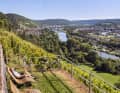 Sporty through the vineyards or relaxed along the Main. The Churfranken region offers plenty of varied routes. On the Franconian red wine hiking trail, you have to climb a few metres in altitude. The picnic platform near Erlenbach am Main is just what you need.