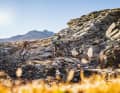 Alpines Gelände ist nur was für All Mountains oder Enduros? Pustekuchen! Auch die sportlicheren Kandidaten aus  der 130-Millimeter-Liga kommen mit etwas Geschick bei der Fahrtechnik mit den technischsten Trails zurecht.