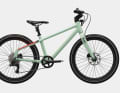 Lion Bikes „Light 24“