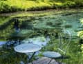 The freely accessible Blue Spring behind the house gives the traditional inn near Erl its name. The cuisine has been awarded two toques.