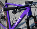 Das Hardtail wird mit der offiziellen XC-CLLCTV-Lackierung released.