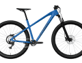 The Essa is likely to be found primarily on such bikes. Inexpensive hardtails that will hopefully become even cheaper and better as a result.