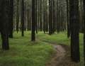 The work was well worth it. More trails like this could be created in the future with the support of Shimano