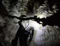 Speziell in der futterkritischen und für das Wild stressigen Winterzeit sollten Biker auf Nightrides verzichten.
