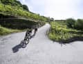 Kilometres of dry stone walls support the vineyards in the Cembra Valley. Lonely, sometimes steep roads wind their way through vineyards and small, isolated villages.
