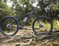 The star of the line is the top model Canyon Grand Canyon 8 for 1699 euros.