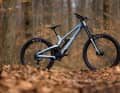 The top model of the Canyon Sender CFR, very close to Troy Brosnan's winning bike from the Downhill World Cup.
