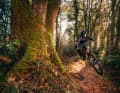 MMR vermarktet das Full Power Q als wildes Trail-Bike. Vielleicht etwas verfehlt, als schneller Tourer mit Federwegsreserven könnte das Bike aber überzeugen.