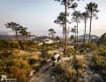 The peaks around Genoa are not 900 metres high, but right by the sea they feel twice as high.
