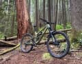 Canyon Torque Mullet CF 8