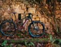 Neben grün gibt's das Bike auch noch in rot. Das Quercus 10 bleibt aber erstmal die einzige Ausstattungsvariante und kostet wenig einsteigerfreundliche 8699 Euro.