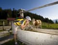 Hmm...good idea? Yes! If the well is drilled 10 metres deep, then it's even the best idea in the Alps.