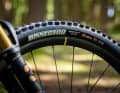 For the tyres, Haibike relies on a balanced mix of weight, rolling characteristics and grip: the moderate Maxxis Dissector should do the trick. With EXO casing at the front and EXO+ at the rear. 