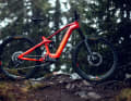Das Advanced Offroad Pro FS Race Limited Edition