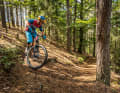 Foto: Adrian Greiter Photodesign
