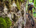 The Husarensteig trail initially runs flat along the rock face, but throws a lot of roots in front of the tyres.