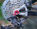 The dropouts are bolted on and can be replaced. They are available in different versions.