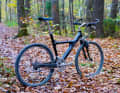 Back in daylight after decades: The Staiger Black Arrow in the state in which it was found, overgrown with spider webs.