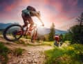 Drei Typen, drei Bikes: Welche Bike-Kategorie besitzt den breitesten Einsatzbereich?
