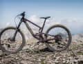 Santa Cruz Hightower