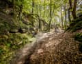 The Schnellert Downhill in the Müllerthal is part of an official mountain bike route. A short section of the tour also leads along the Müllerthal Trail hiking trail - remember the friendly "Moien" when you meet someone!