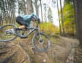 Dann hört man auf dem Trail im besten Fall nur den Fazua Ride 60 schnurren - und das Krallen der Stollen im Waldboden.