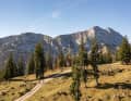Panoramic trail from the Blaubergalm to the Gufferthütte: not a soul in sight.