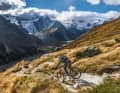 Viel mehr Gletscher-Trail-Kino geht nicht: die Umrundung des Bernina-Massivs.