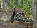 Even a major crash doesn't have to mean a total loss these days - provided there is an appropriate crash replacement.