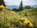 Max and Ines have a good laugh. The two old bike hands are rediscovering the Oberallgäu as e-MTB newcomers.