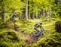 We have pedalled a good 800 metres in altitude when the forest opens up...