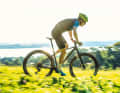 Orbea Alma M Team