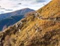 There is almost nothing more beautiful than cruising along the warm, golden slopes above Ascona in autumn.