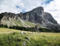 Gentle meadows, rugged peaks - the panorama is constantly changing on the route east of the Brenner Pass.