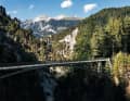 Surselva rich in contrasts: endless kilometres of trails unfold between the deep gorges, idyllic hills and turquoise lakes - including cow pats placed on the trails with Swiss precision.