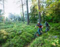 It's no wonder that myths and legends arise in such atmospheres.