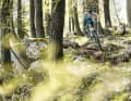 Test 2019: E-all-mountain bikes in the trail park