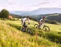 The trails in Jamnica are mostly in the forest, but the Ecohotel Koroš (in the background) is located in an open pasture. Always in view: the Petzen (back right)