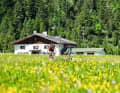 Destination: Topfen. Between Allgäu and Berchtesgaden there are many good places to stop for refreshments. But these six addresses also stand out thanks to their particularly idyllic routes. Ideal for e-MTBs.