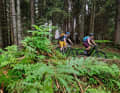 The six most beautiful hut tours in Bavaria - accessible by e-mountain bike on idyllic trails.