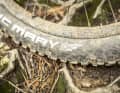Keine Kompromisse! Wer ein Bike dieser Kategorie artgerecht bewegen will, braucht sehr solide Reifen. Mit Schwalbes Super Gravity-Karkasse am Hinterrad setzt Focus diesbezüglich einen Haken.