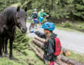 "Papaaa, schau maaal!", flötet Milla, und schmiegt sich schon mit verträumter Miene an das Pony, das malmend am Wegesrand steht. Die Laune meiner Tochter ist gerettet.
