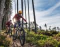 In the Czech Republic, "floutrejls" are springing up like mushrooms. This is also the case in Lipno, on the banks of the Vltava reservoir. A kind of Disney World with forest trails all around.