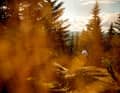 Der Park in Hafjell lockt Besucher aus aller Welt an - doch anscheinend nicht genügend: Eine Schließung steht im Raum. 2014 könnte die letzte Gelegenheit sein, den norwegischen Superpark zu besuchen.