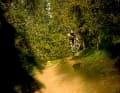 Hafjell Bike Park, Norway: Buldre: Although the trail is very washed out in places, it is still full of fun potential.