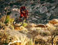 Small gimmicks - we still have more than half of the "Palm Canyon Epic" trail ahead of us.