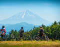 Picture-book volcano: Mount Fuji stretches its almost 3700 metre-high snow dome into the blue sky.