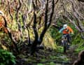 Das neue Canyon ist ein großer Wurf. Das Bike besticht durch ein super sattes Fahrwerk, gleichzeitig besitzt es enormen Spieltrieb. Hier das Top-Modell in Action beim Product-Launch auf Madeira.