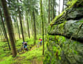 Stage 1: The ascent to the Hohe Matze is on single trails through an idyllic forest.